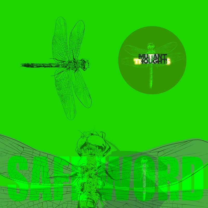 Safe Word artwork